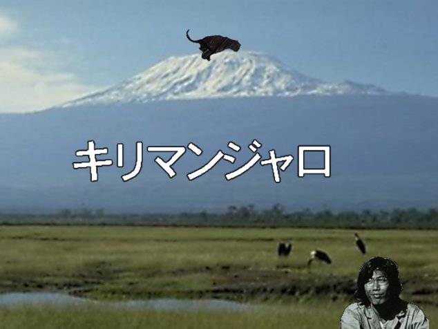 L}WARɂ͓C̍^
