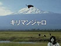 L}WARɂ͓C̍^